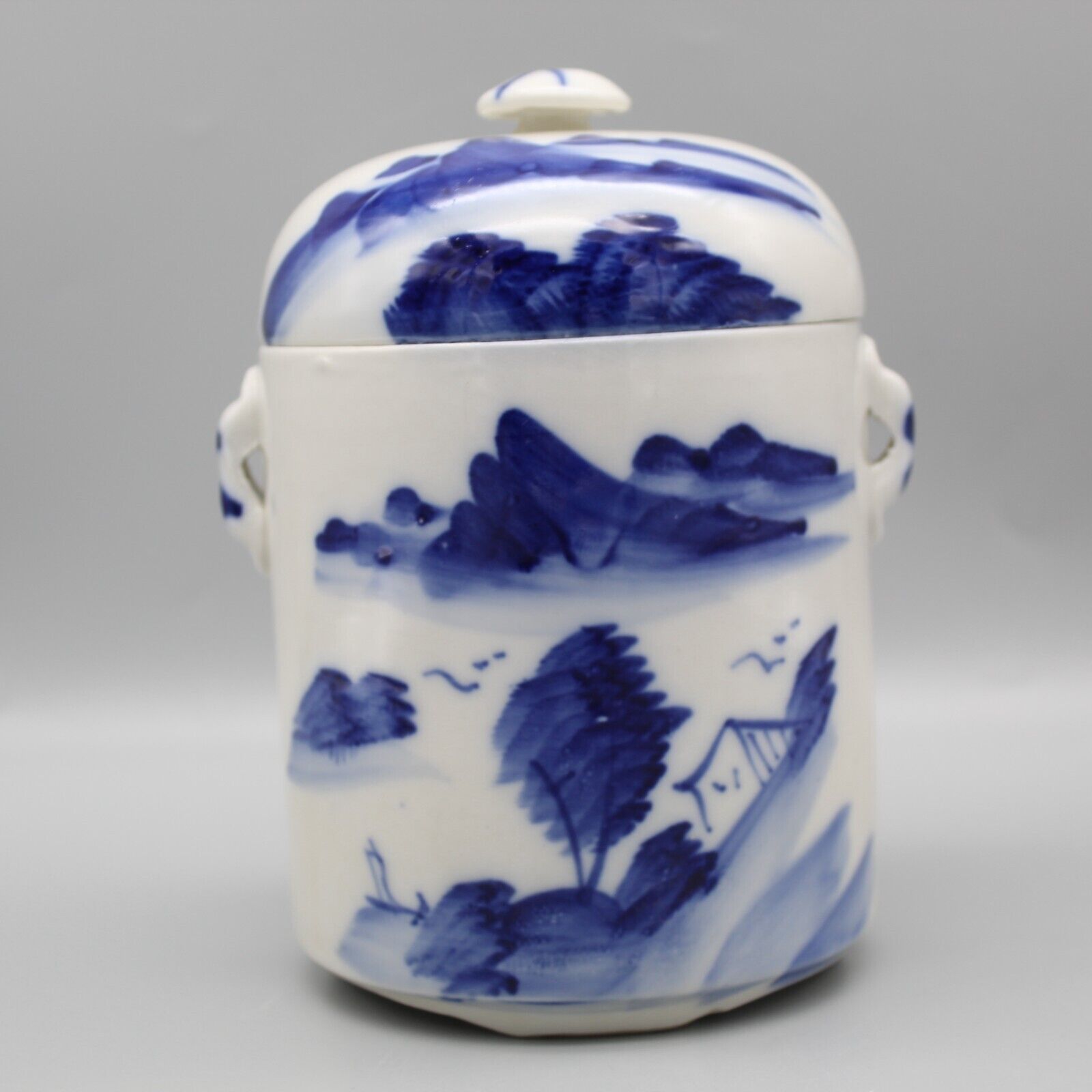 Asian Blue And White Tea Caddy Hand Painted Double Lid Handles Chinese Vintage