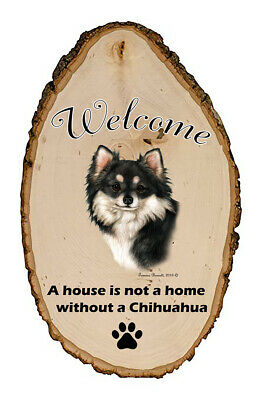 Outdoor Welcome Sign (tb) - Black And White Longhaired Chihuahua 51358